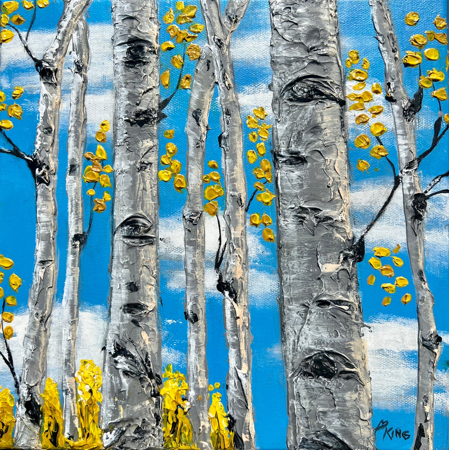 ASPEN SKY